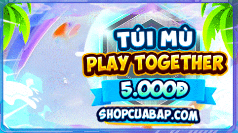 TÚI MÙ 5K